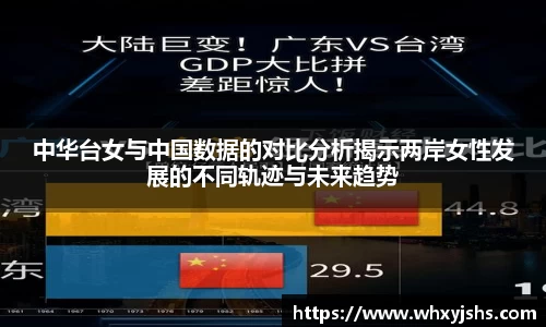 中华台女与中国数据的对比分析揭示两岸女性发展的不同轨迹与未来趋势